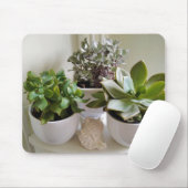 Gepootte Succulenten in wit met Seashell Muismat (Met muis)