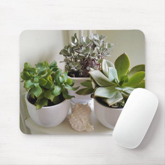 Gepootte Succulenten in wit met Seashell Muismat (Met muis)
