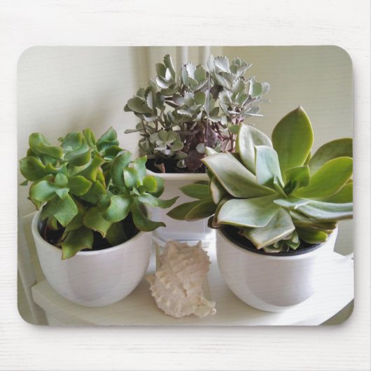 Gepootte Succulenten in wit met Seashell Muismat (Voorkant)