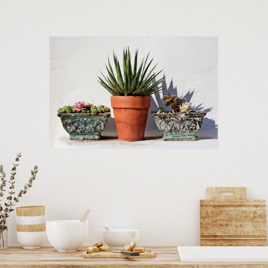Gepootte Succulenten Poster (Keuken)