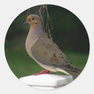 Geposeerde rouwduif ronde sticker
