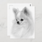 Geposte Chihuahua Hand geschilderd portret Briefkaart (Voorkant / Achterkant)