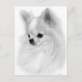 Geposte Chihuahua Hand geschilderd portret Briefkaart (Voorkant)