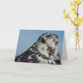  gepotte duif kaart (Gele Bloem)