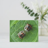 Gepotte inktbugs ~ briefkaart (Staand voorkant)