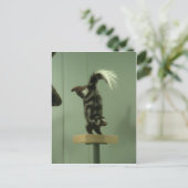 Gepotte kunk; museumtentoonstelling briefkaart (Staand voorkant)