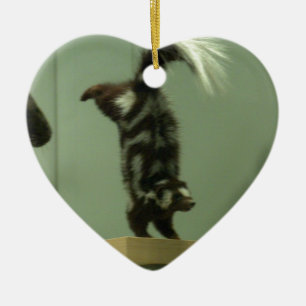 Gepotte kunk; museumtentoonstelling keramisch ornament