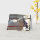 Gepotte Pony Kaart (Gele Bloem)