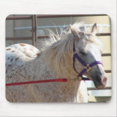 Gepotte Pony Muismat (Voorkant)