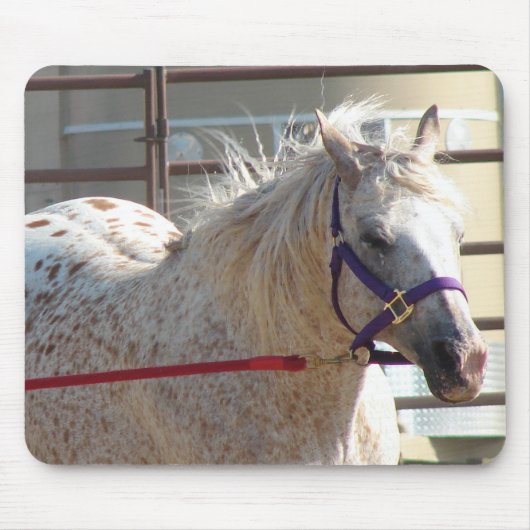 Gepotte Pony Muismat (Voorkant)