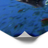 Gepotte Ray Poster (Hoek)