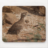 Gepotte Struik Thick-Knee Mousepad Muismat (Voorkant)