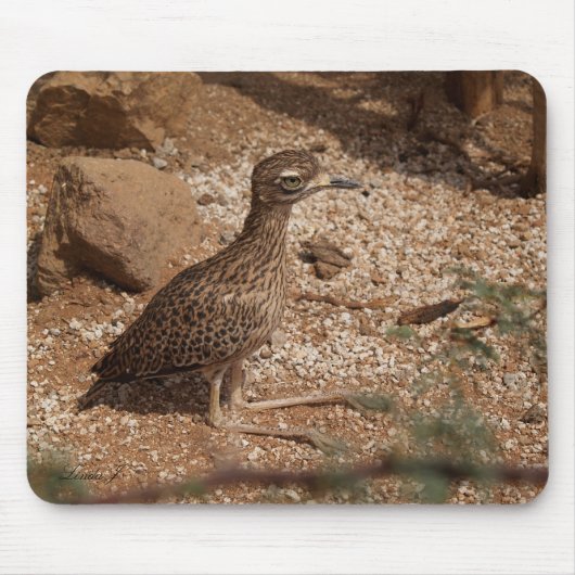 Gepotte Struik Thick-Knee Mousepad Muismat (Voorkant)
