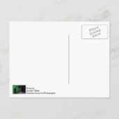 gepotte vlinder briefkaart (Achterkant)