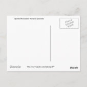 Gepotteerde paardenpest, M. punctata Briefkaart (Achterkant)