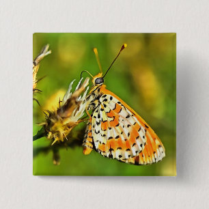 Geppotte Fritillary Oranje and White Butterfly Vierkante Button 5,1 Cm