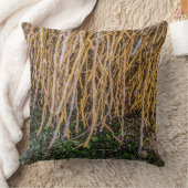 Gepromoveerd 6 in een Sierkussen uit de reeks (Deken)