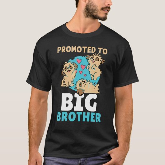 Gepromoveerd naar Big Brother T-shirt (Voorkant)