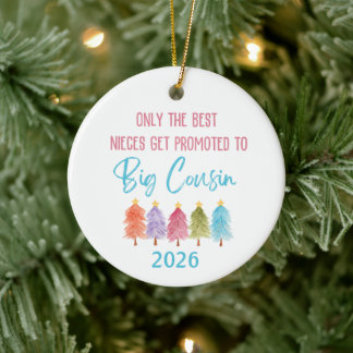 Gepromoveerd naar Big Cousin Niece Ornament