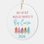 Gepromoveerd naar Big Cousin Niece Ornament (Links)