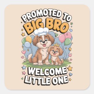 Gepromoveerd tot Big Brother, Big Brother, Vierkante Sticker