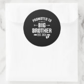 Gepromoveerd tot Big Brother est. 2024 Ronde Sticker (Tas)