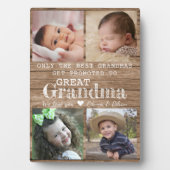 Gepromoveerd tot Grote Oma 4 Fotocollage Hout Fotoplaat (voorkant)