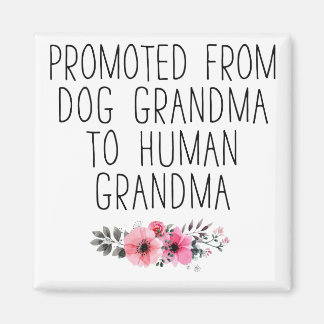 Gepromoveerd van honden oma tot menselijke oma
 magneet