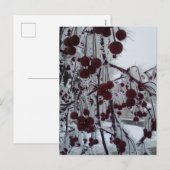 Gepulueerde bessen feestdagenkaart (Voorkant / Achterkant)