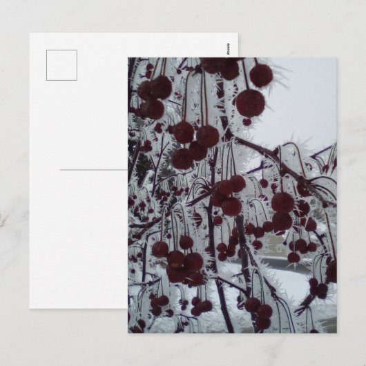 Gepulueerde bessen feestdagenkaart (Voorkant / Achterkant)