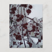 Gepulueerde bessen feestdagenkaart (Voorkant)