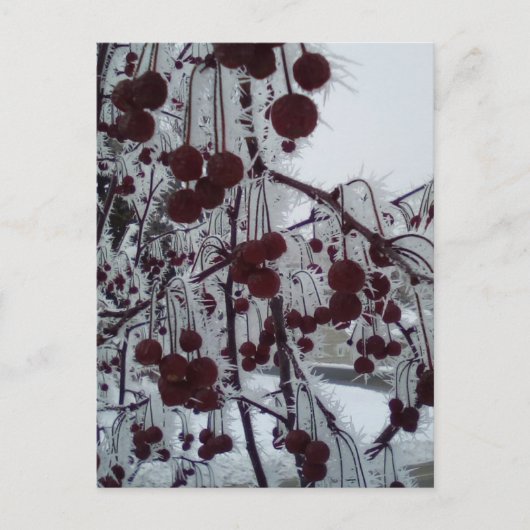 Gepulueerde bessen feestdagenkaart (Voorkant)