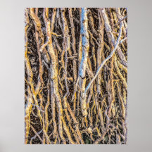 Gepunteerde 4 afdrukken, Poster papier (halfglanze