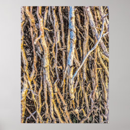 Gepunteerde 4 afdrukken, Poster papier (halfglanze