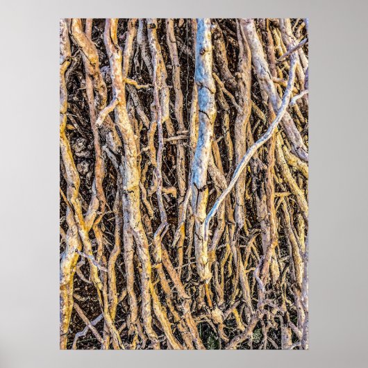 Gepunteerde 4 afdrukken, Poster papier (halfglanze (Voorkant)