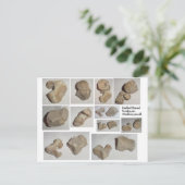 GEPUSILIZEERDE MAMMAL VERTEBRA BRIEFKAART (Staand voorkant)