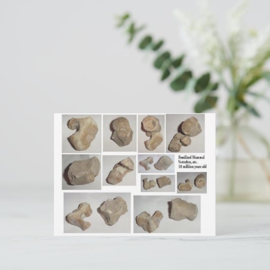 GEPUSILIZEERDE MAMMAL VERTEBRA BRIEFKAART (Staand voorkant)