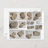 GEPUSILIZEERDE MAMMAL VERTEBRA BRIEFKAART (Voorkant / Achterkant)