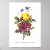 Geraan, Roos en vlas Poster (Voorkant)