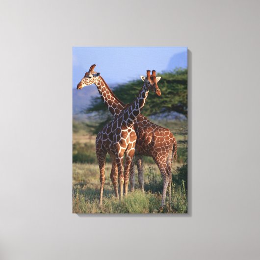 Geraffineerde Giraffe 4 Canvas Afdruk (Voorkant)