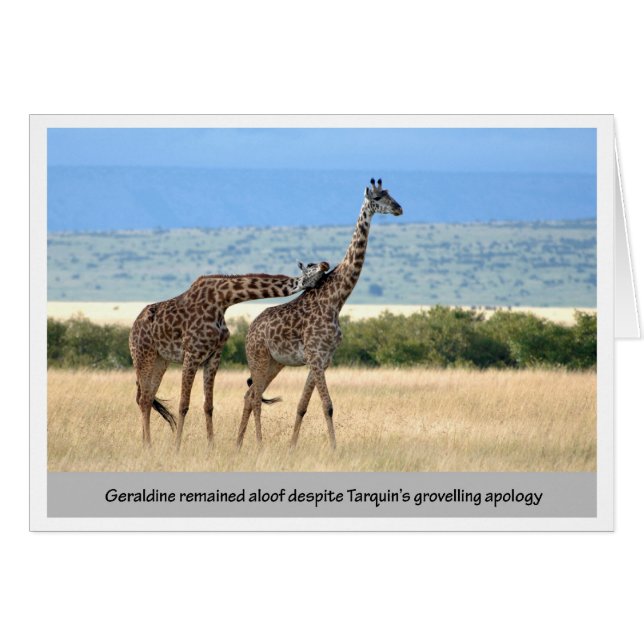 Geraldine bleef alleen (Voorkant Horizontaal)