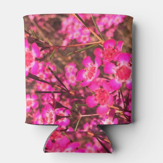 Geraldton Wax Blikjeskoeler (Achterkant)