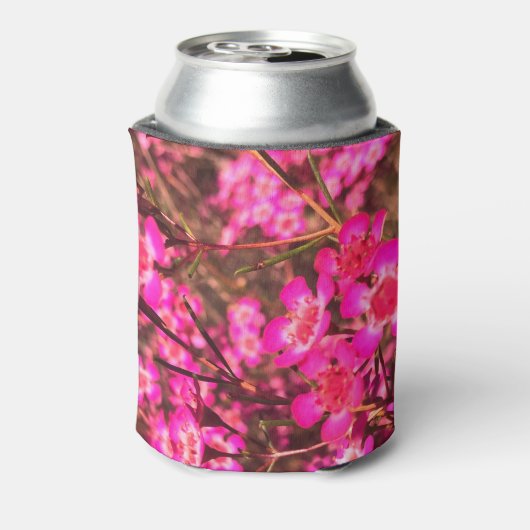 Geraldton Wax Blikjeskoeler (Blikje Achterkant)