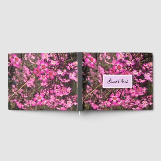 Geraldton Wax Gastenboek (Volledig)