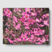 Geraldton Wax Gastenboek (Achterkant)