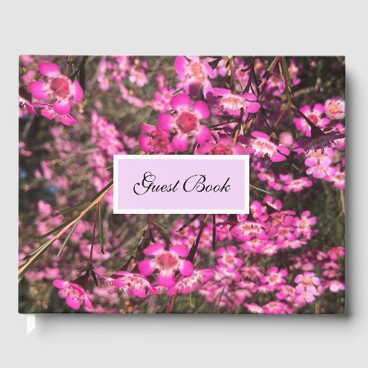 Geraldton Wax Gastenboek (Voorkant)