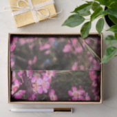 Geraldton Wax Tissuepapier (Geschenk)