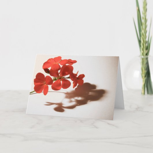 Geranium blanco kaart condoleance rouwbeklag (Voorkant)