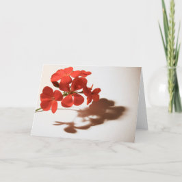 Geranium blanco kaart condoleance rouwbeklag