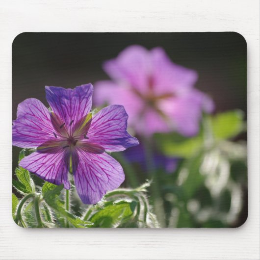 Geranium Bloem Mousepad Muismat (Voorkant)